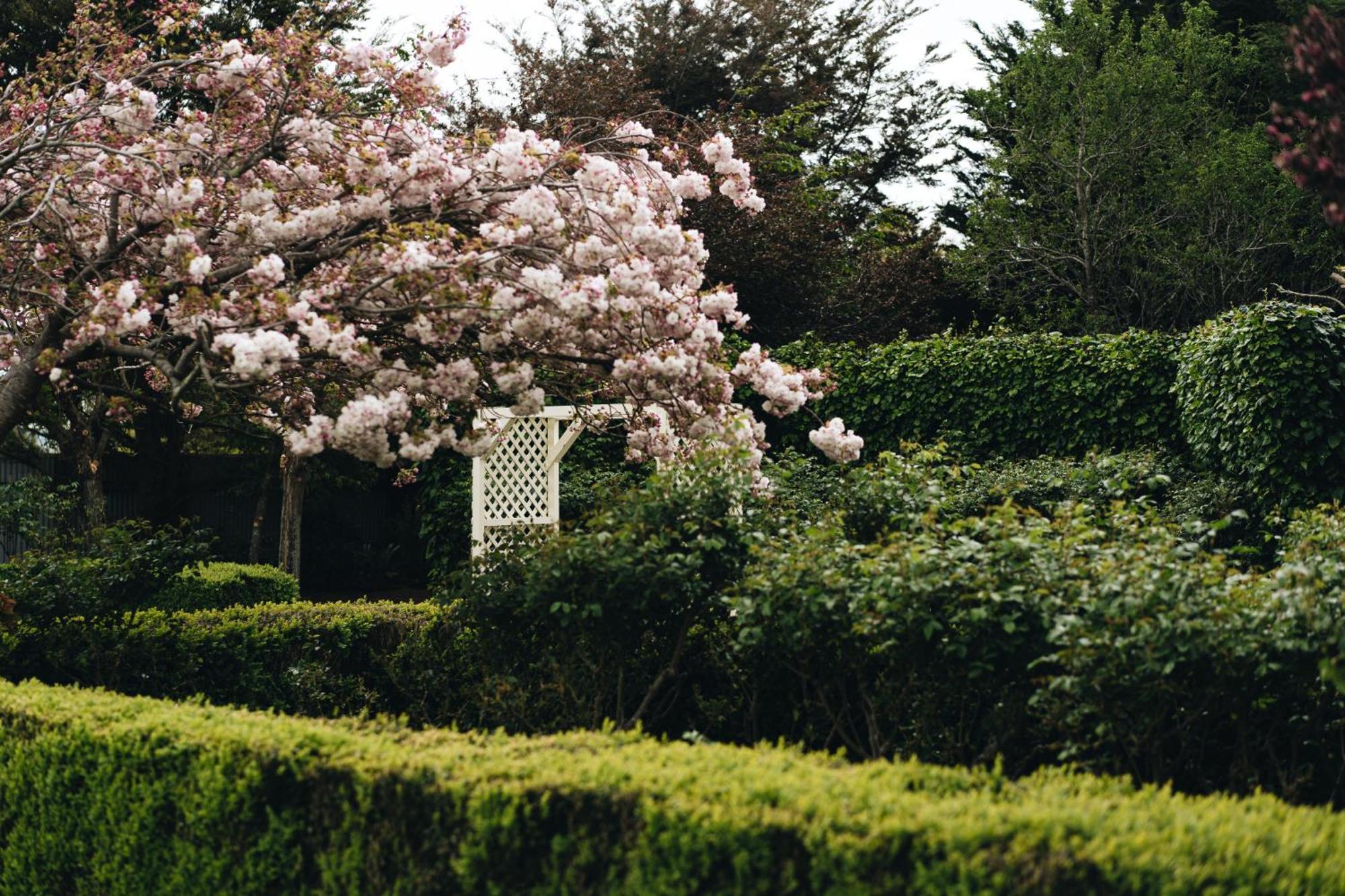 Brackenridge Country Retreat & Spa Martinborough Exterior photo