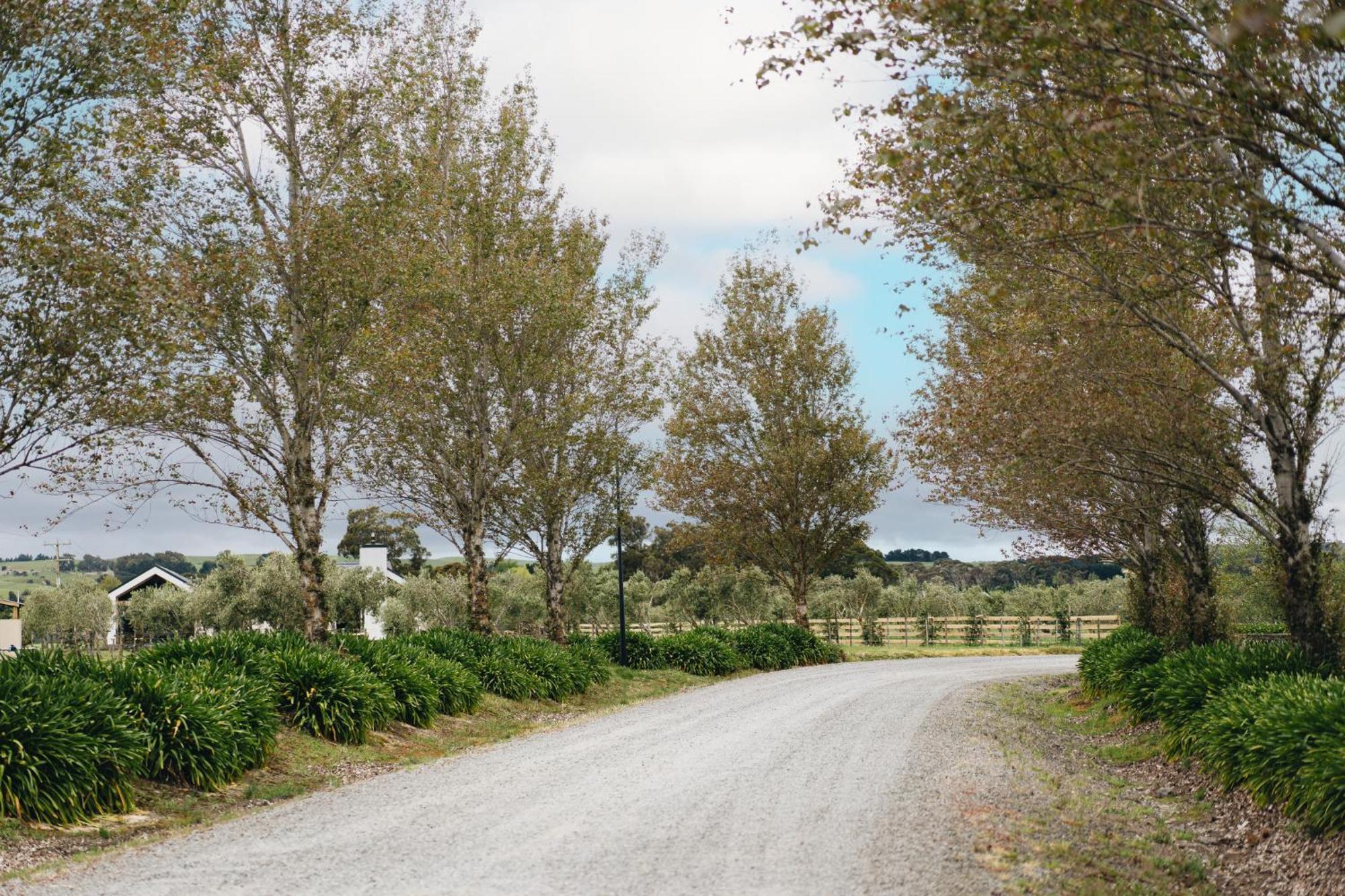 Brackenridge Country Retreat & Spa Martinborough Exterior photo